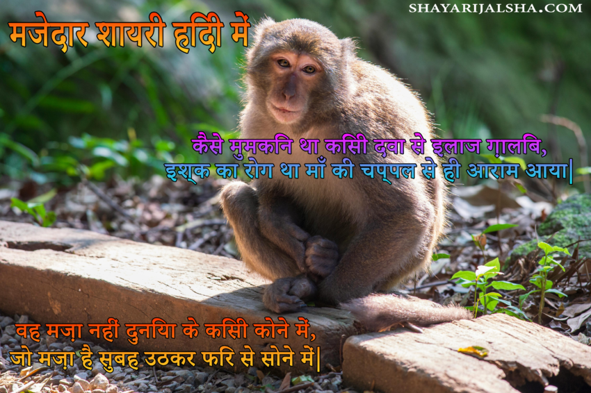 best funny shayari